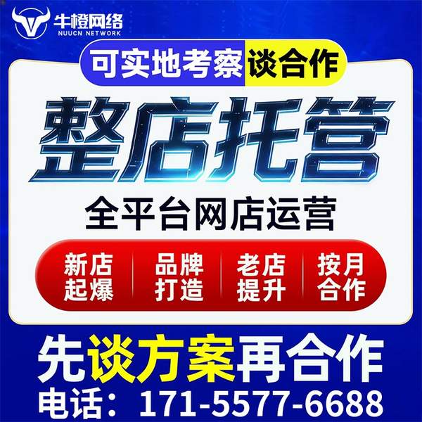 中卫电商代运营