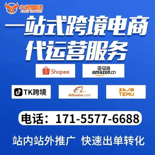 中卫电商代运营