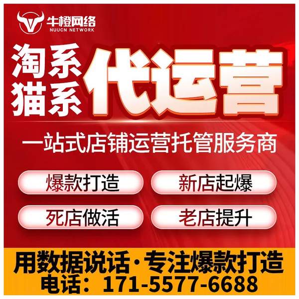 中卫电商代运营